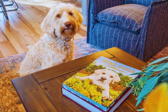 Vineyard View: Spa | Fire-pit | Dog Friendly